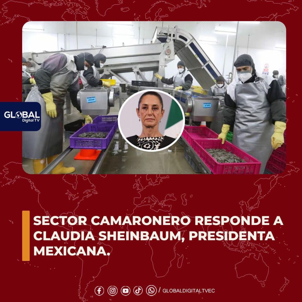 Sector camaronero responde a Claudia Sheinbaum, presidenta mexican.